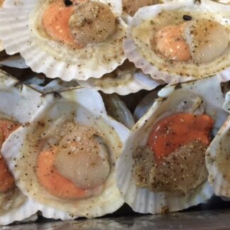 Half Shell Scallop 1kg (8-9pcs)