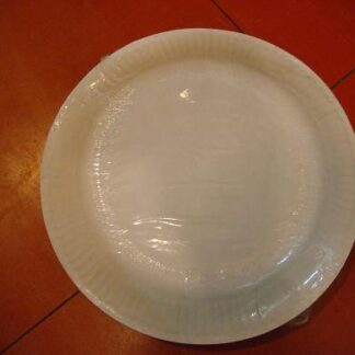 Plastic Plates 9" (10s)