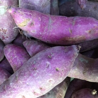 Japanese Purple Sweet Potato 5pcs