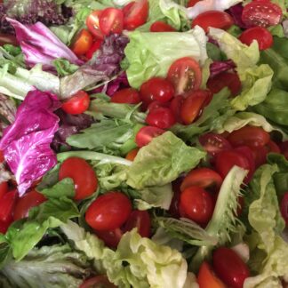 Mixed Salad Greens (10pax)