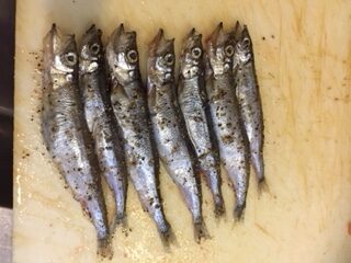 Shisahamo (per piece)